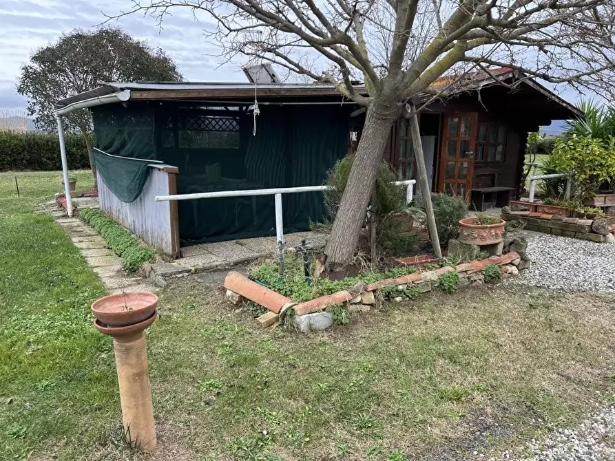 Immagine 2 di Terreno agricolo in vendita  a Bibbona
