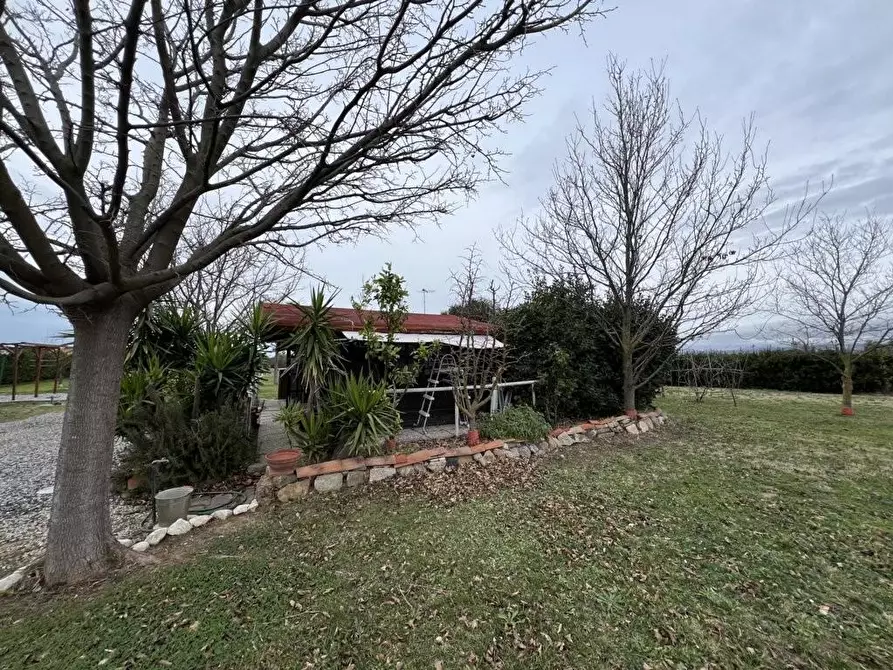 Immagine 16 di Terreno agricolo in vendita  a Bibbona