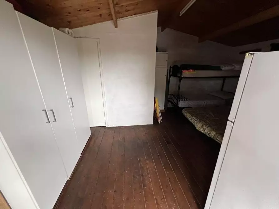 Immagine 6 di Terreno agricolo in vendita  a Bibbona