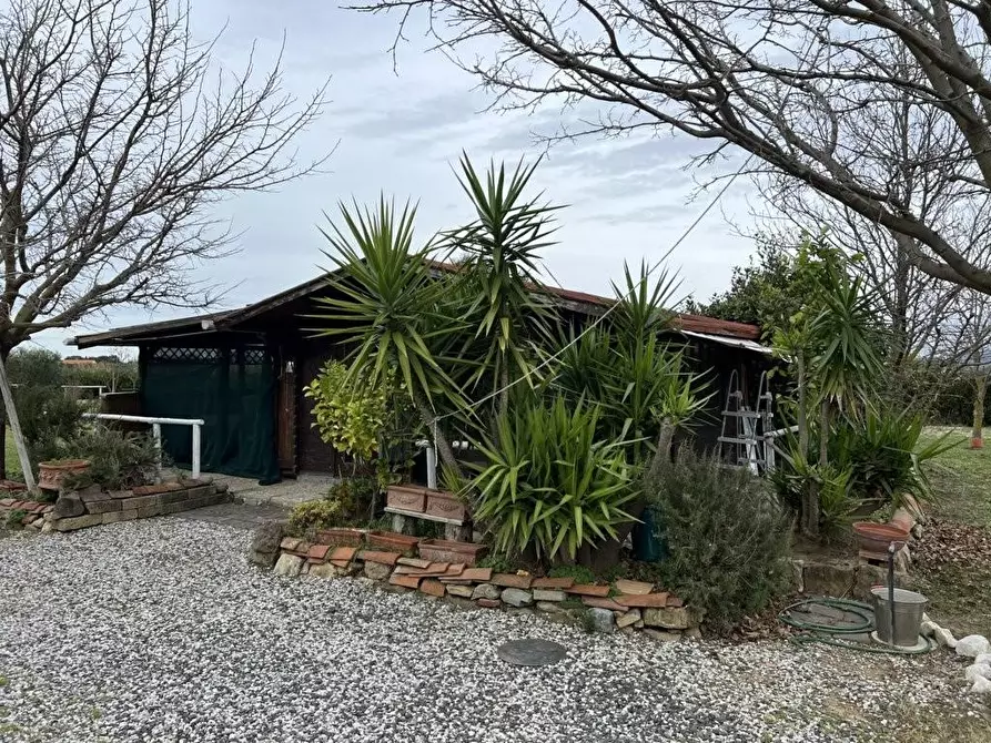 Immagine 28 di Terreno agricolo in vendita  a Bibbona