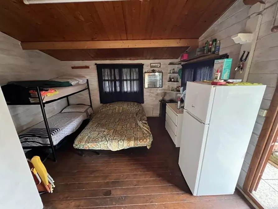 Immagine 7 di Terreno agricolo in vendita  a Bibbona