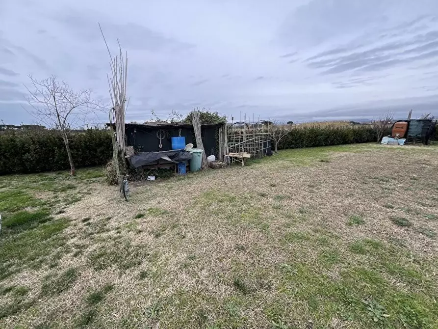 Immagine 18 di Terreno agricolo in vendita  a Bibbona
