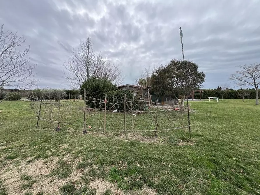 Immagine 24 di Terreno agricolo in vendita  a Bibbona