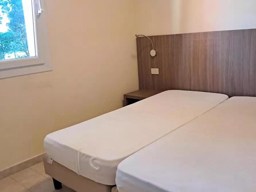Immagine 1 di Appartamento in affitto  a Pisa