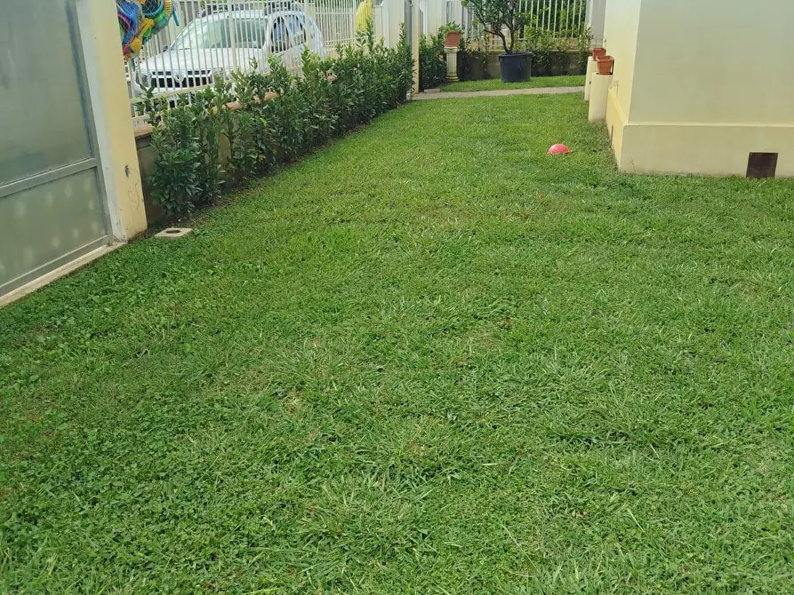 Immagine 20 di Casa bifamiliare in vendita  a Massarosa