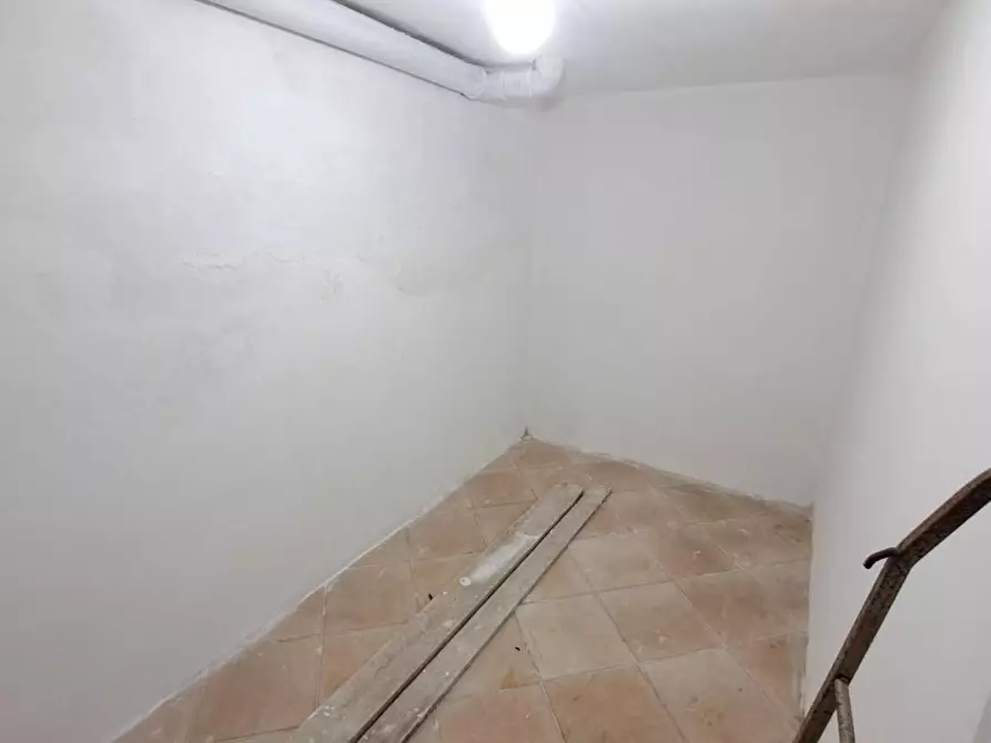 Immagine 13 di Appartamento in vendita  a Rosignano Marittimo