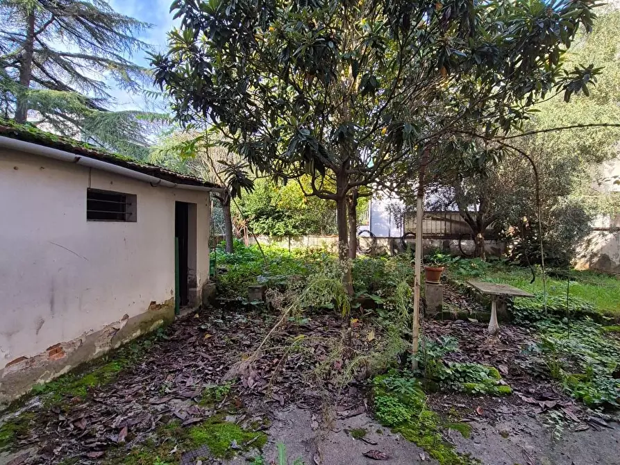 Immagine 16 di Palazzo in vendita  a Santa Croce Sull'arno