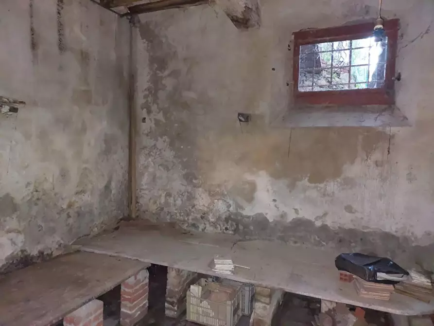 Immagine 10 di Appartamento in vendita  a Buti