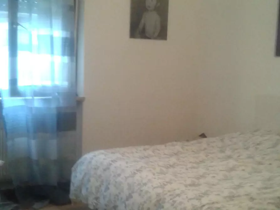 Immagine 7 di Appartamento in affitto  a Carrara