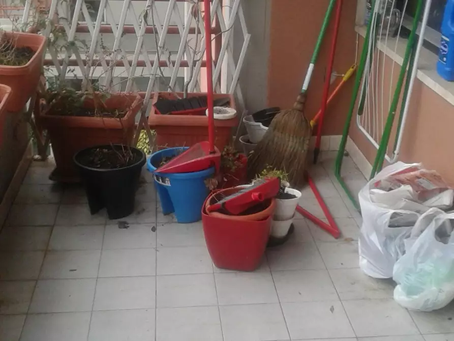 Immagine 5 di Appartamento in affitto  a Carrara
