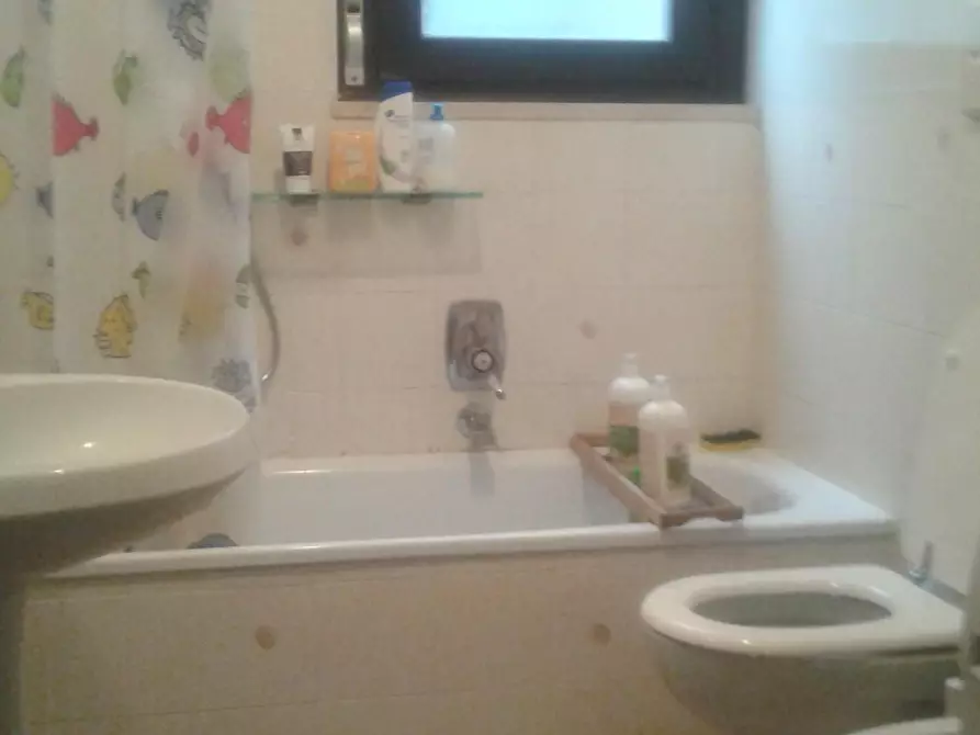 Immagine 10 di Appartamento in affitto  a Carrara
