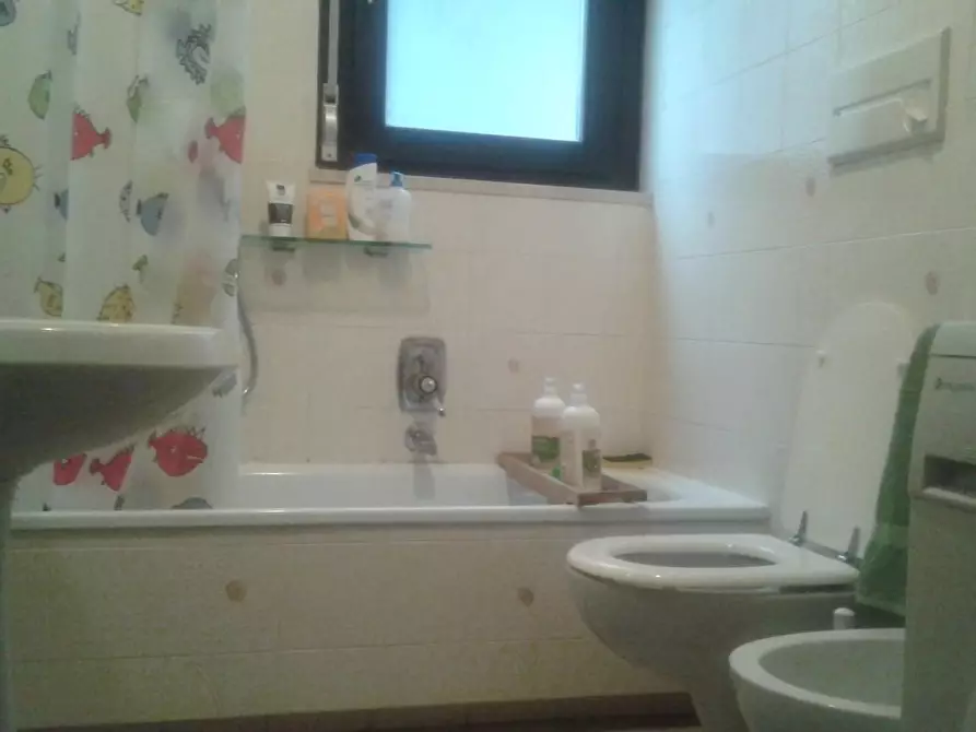 Immagine 11 di Appartamento in affitto  a Carrara