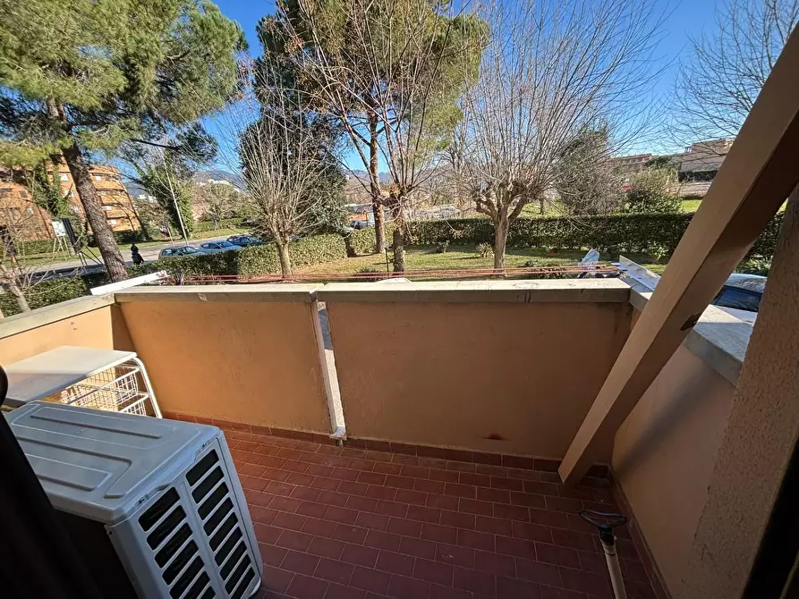 Immagine 15 di Appartamento in affitto  a Pisa