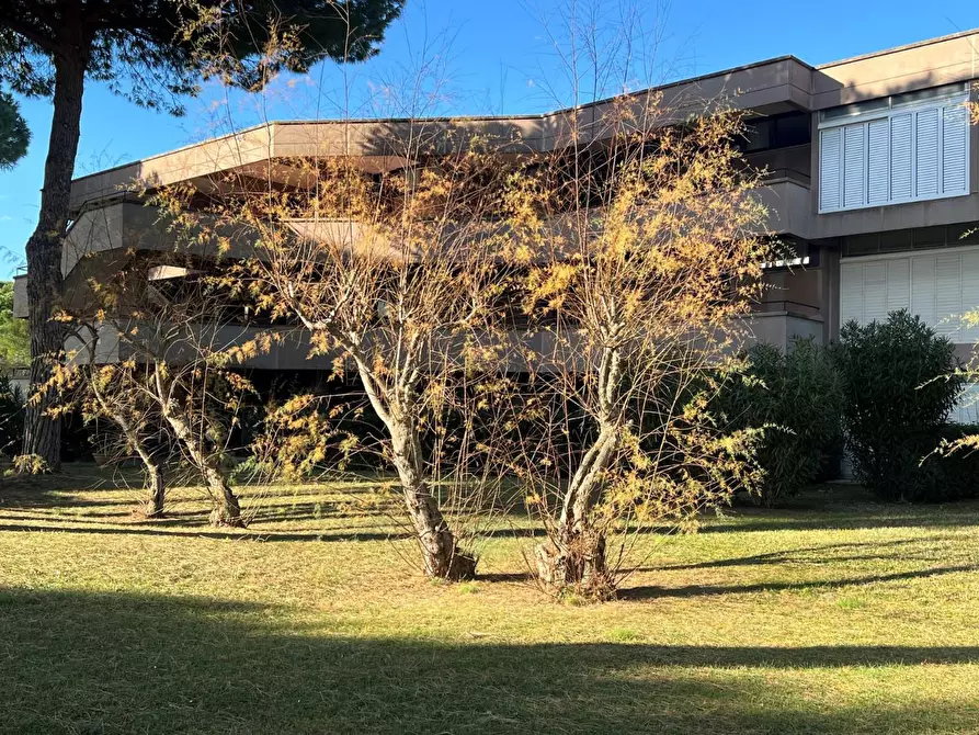 Immagine 3 di Appartamento in vendita  a Bibbona