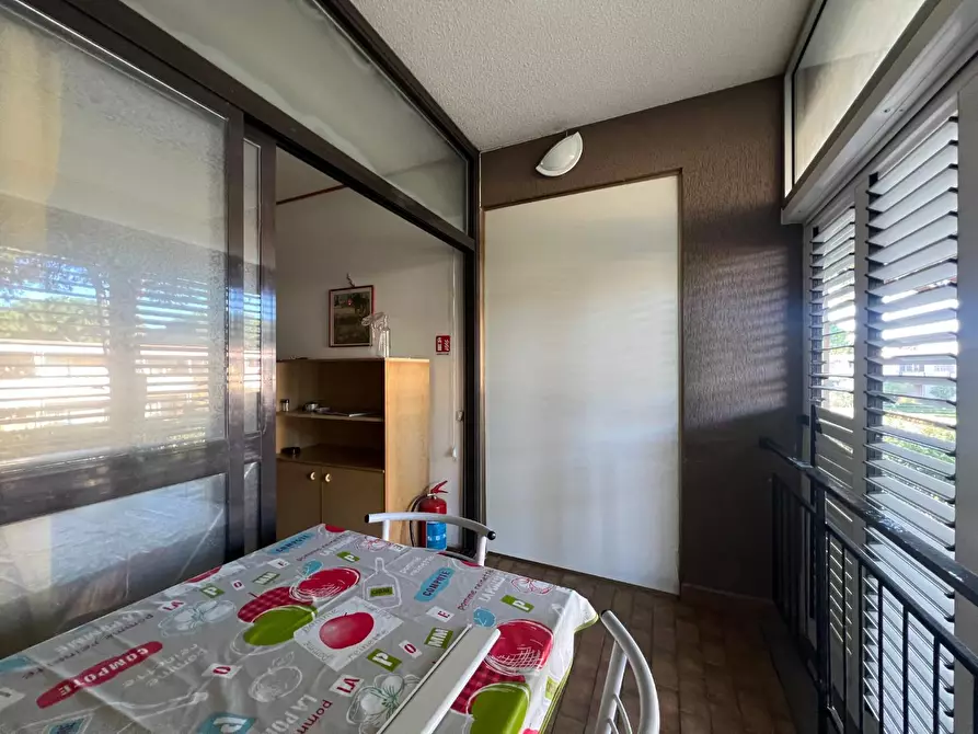 Immagine 19 di Appartamento in vendita  a Bibbona