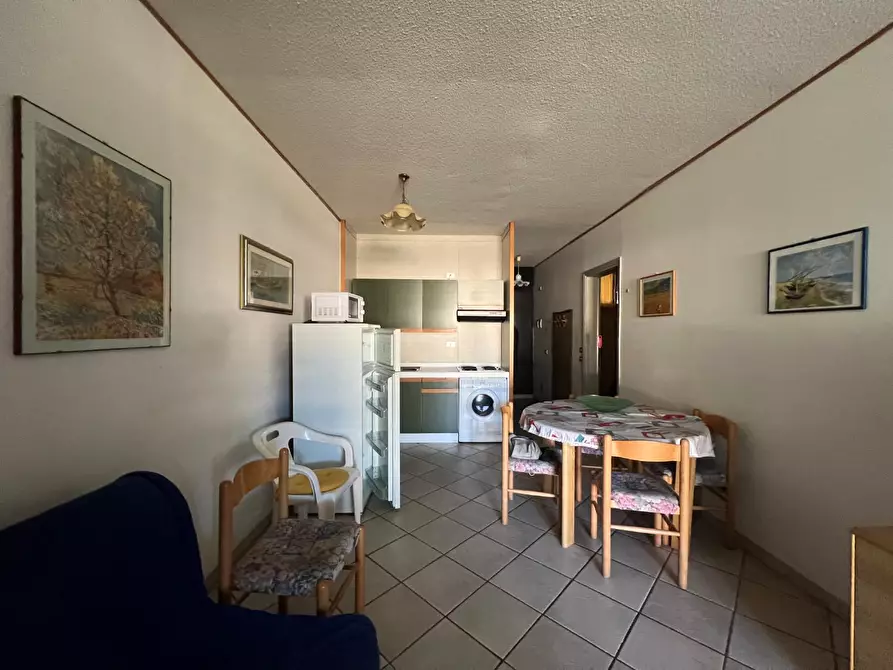 Immagine 8 di Appartamento in vendita  a Bibbona