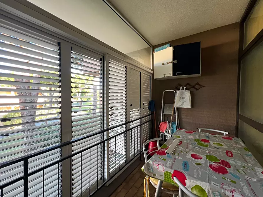 Immagine 18 di Appartamento in vendita  a Bibbona