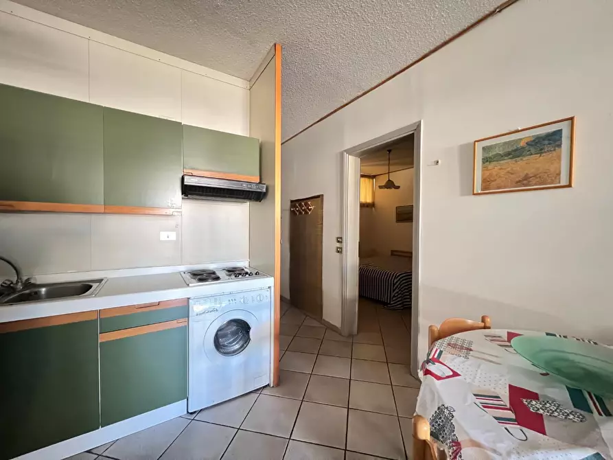 Immagine 5 di Appartamento in vendita  a Bibbona