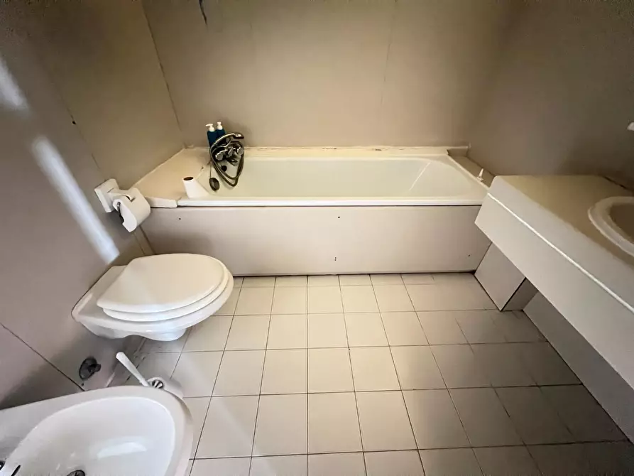 Immagine 15 di Appartamento in vendita  a Bibbona