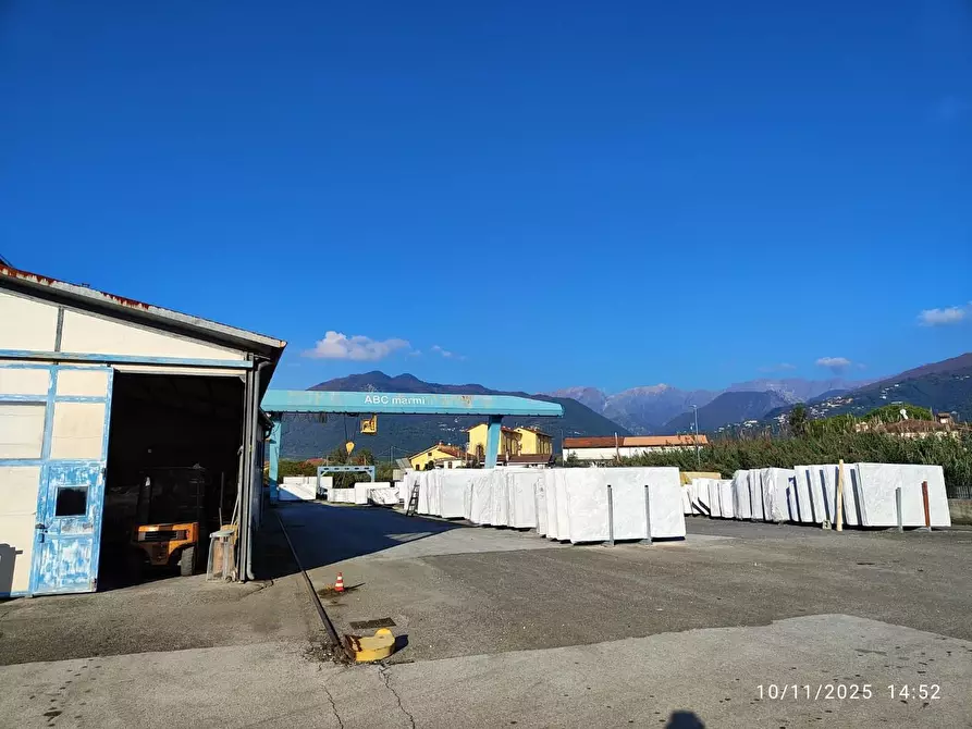 Immagine 6 di Attività artigianale in vendita  a Massa