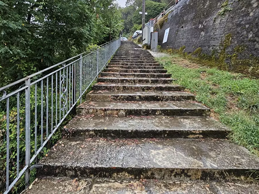 Immagine 6 di Appartamento in vendita  a Massa