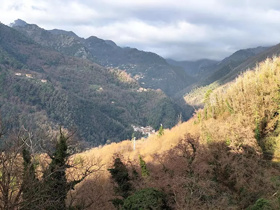 Immagine 14 di Appartamento in vendita  a Massa