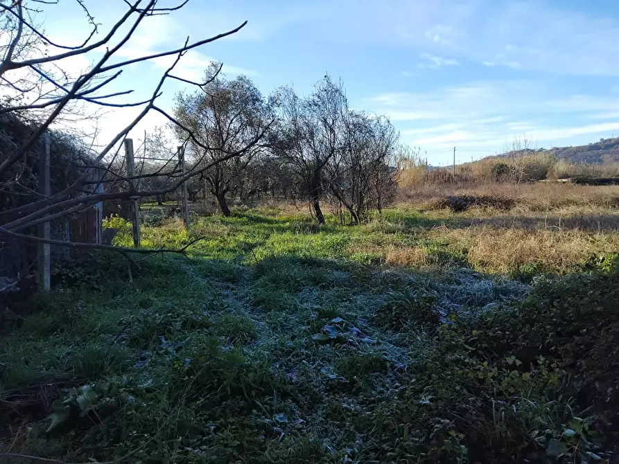 Immagine 2 di Terreno agricolo in vendita  a Vezzano Ligure