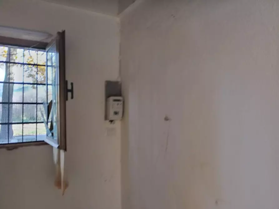 Immagine 6 di Terreno agricolo in vendita  a Vezzano Ligure