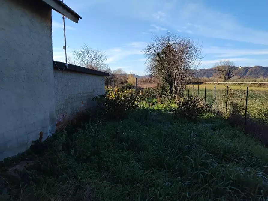 Immagine 9 di Terreno agricolo in vendita  a Vezzano Ligure