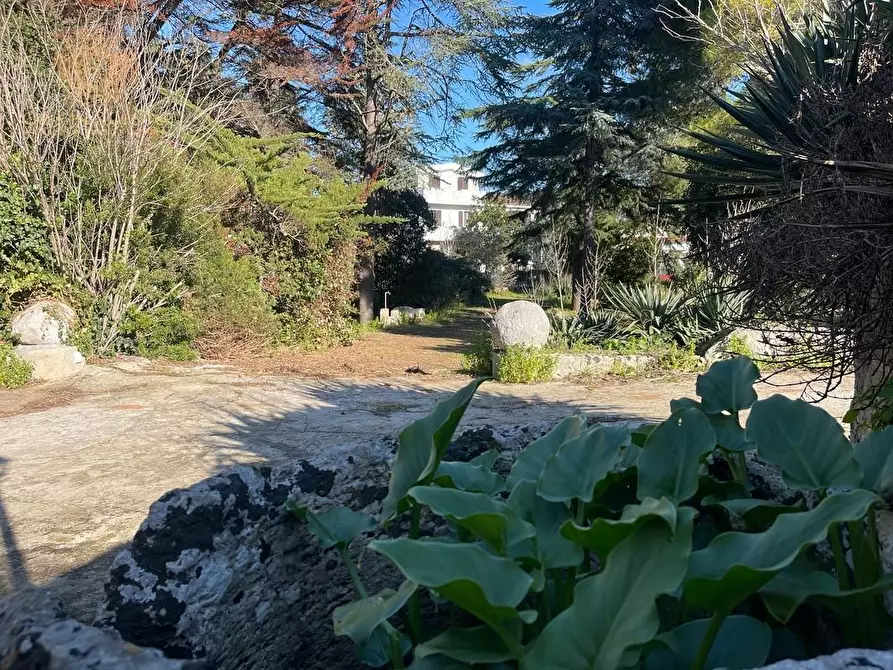 Immagine 75 di Villa in vendita  a Castrignano Del Capo