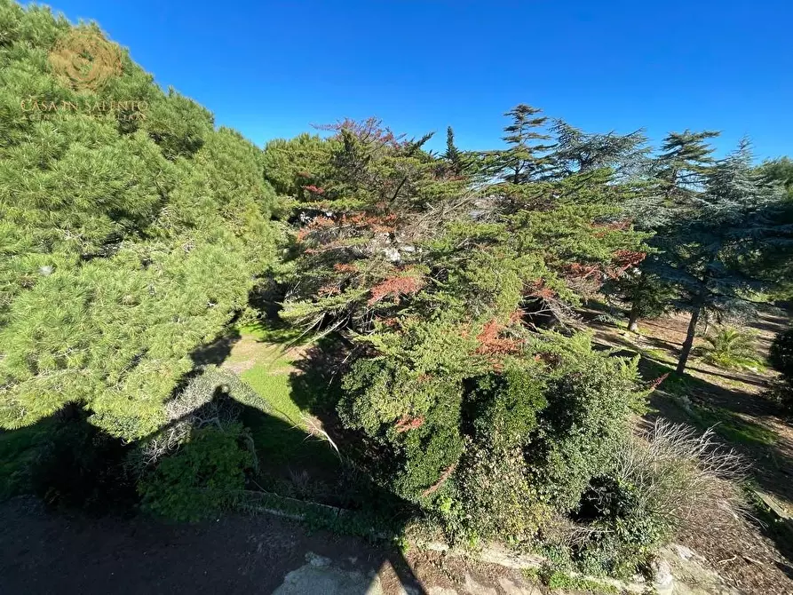 Immagine 57 di Villa in vendita  a Castrignano Del Capo