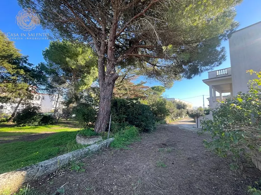 Immagine 3 di Villa in vendita  a Castrignano Del Capo