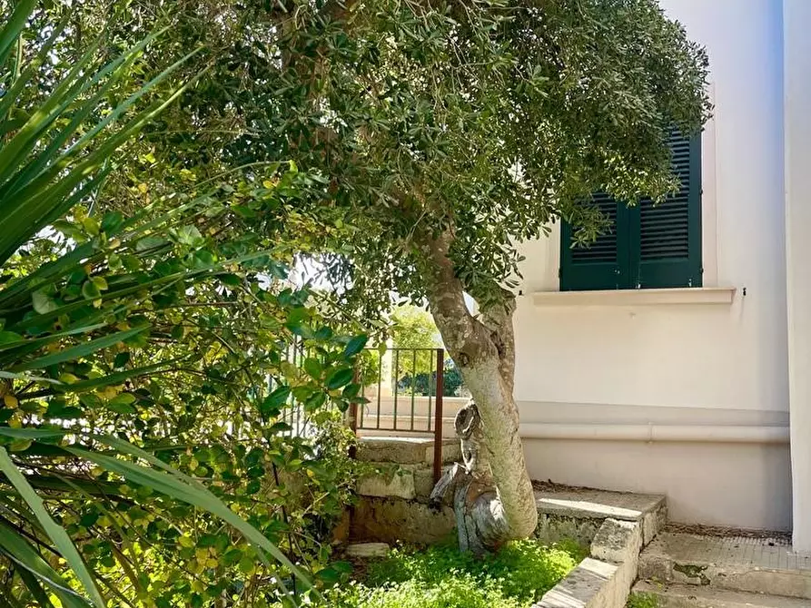 Immagine 89 di Villa in vendita  a Castrignano Del Capo