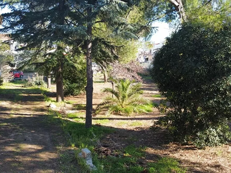 Immagine 95 di Villa in vendita  a Castrignano Del Capo