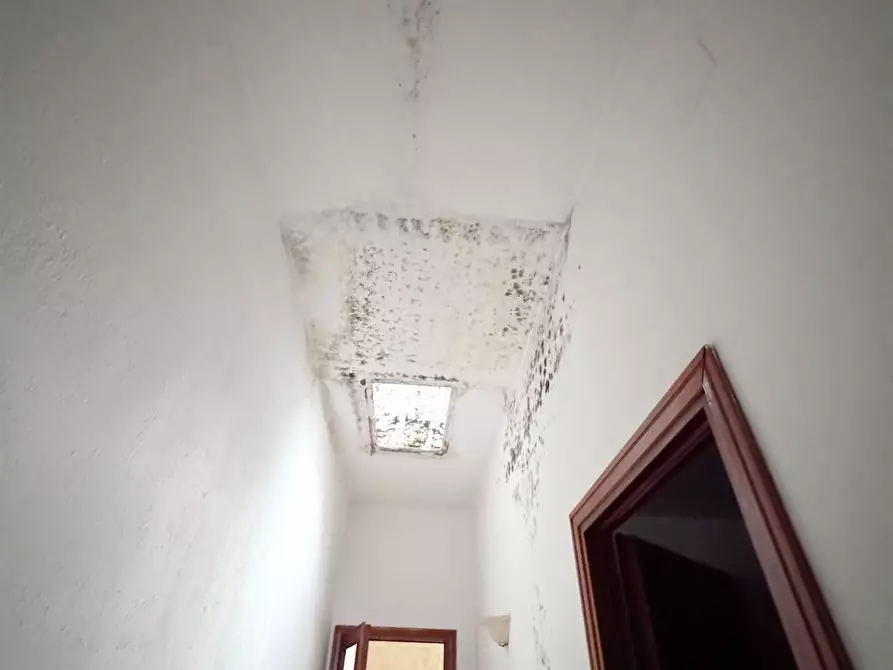 Immagine 36 di Casa indipendente in vendita  a Vicopisano