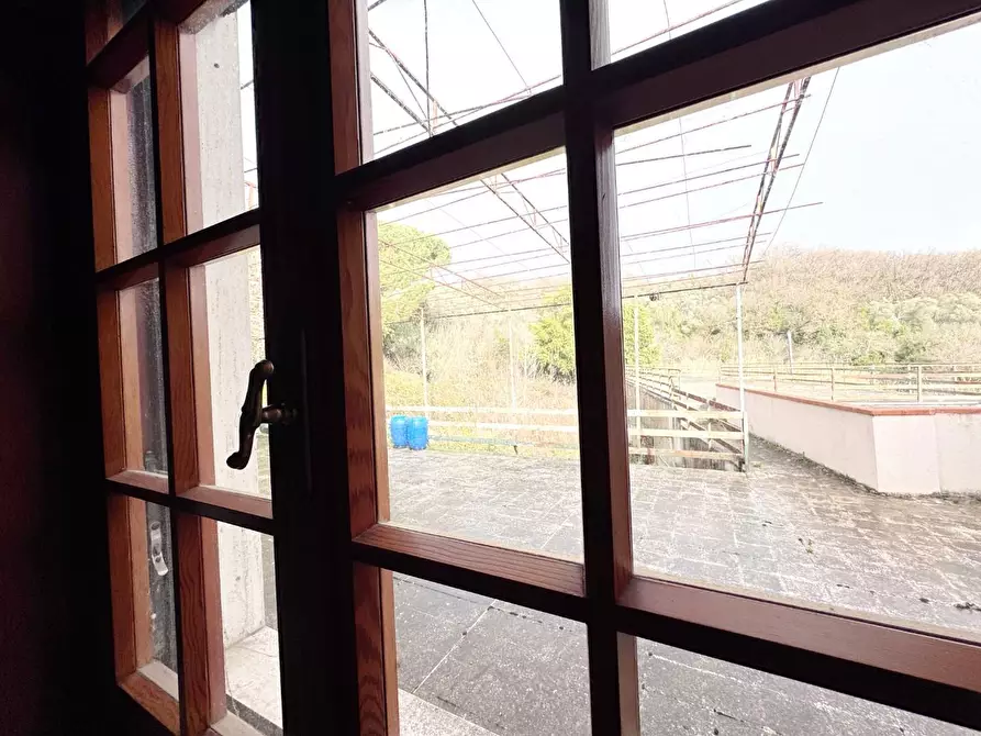 Immagine 40 di Casa indipendente in vendita  a Vicopisano