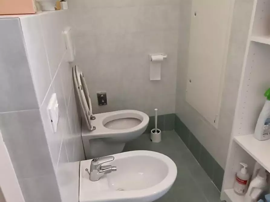 Immagine 9 di Casa colonica in vendita  a Vecchiano