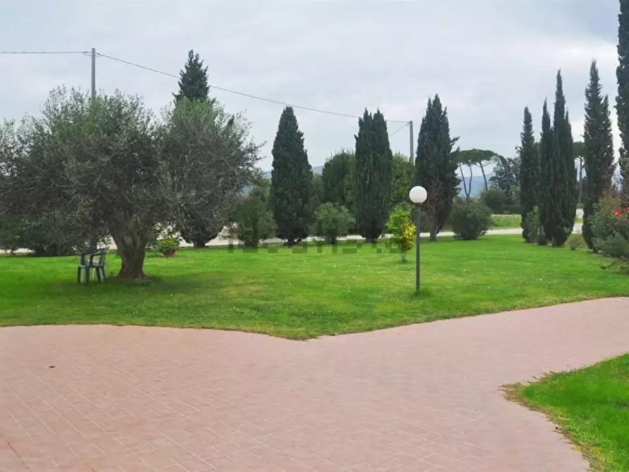 Immagine 1 di Casa colonica in vendita  a Vecchiano