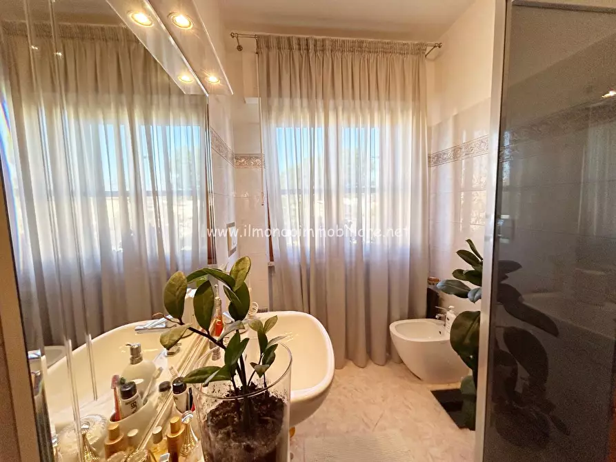 Immagine 12 di Appartamento in vendita  a Rosignano Marittimo