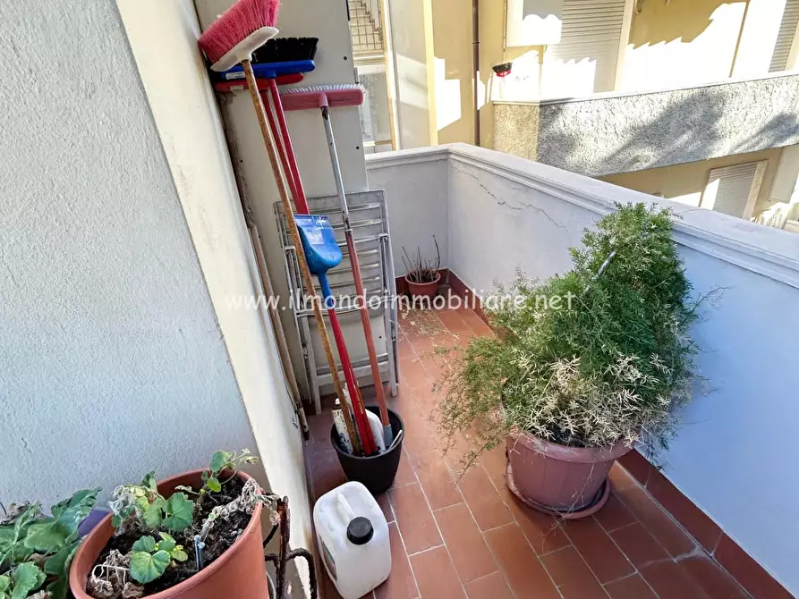 Immagine 4 di Appartamento in vendita  a Rosignano Marittimo