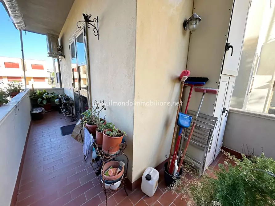 Immagine 2 di Appartamento in vendita  a Rosignano Marittimo