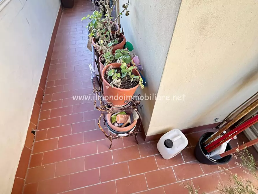 Immagine 3 di Appartamento in vendita  a Rosignano Marittimo