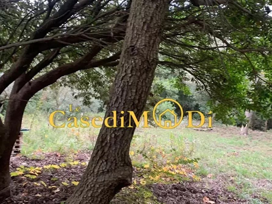 Immagine 3 di Terreno agricolo in vendita  a Livorno