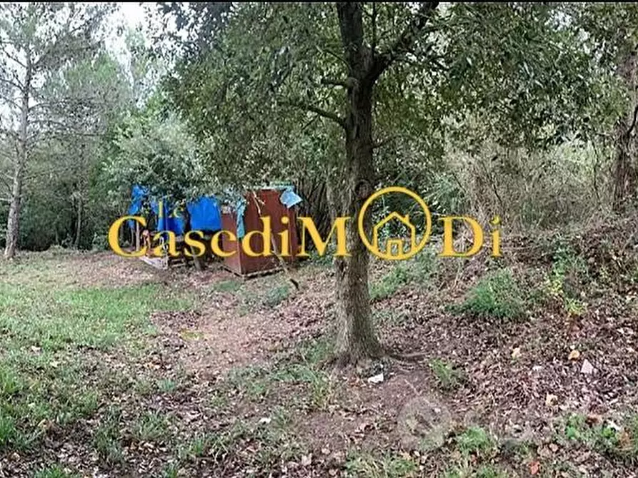 Immagine 5 di Terreno agricolo in vendita  a Livorno