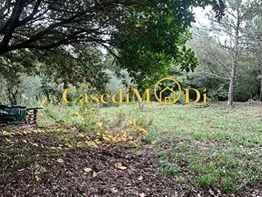 Immagine 2 di Terreno agricolo in vendita  a Livorno