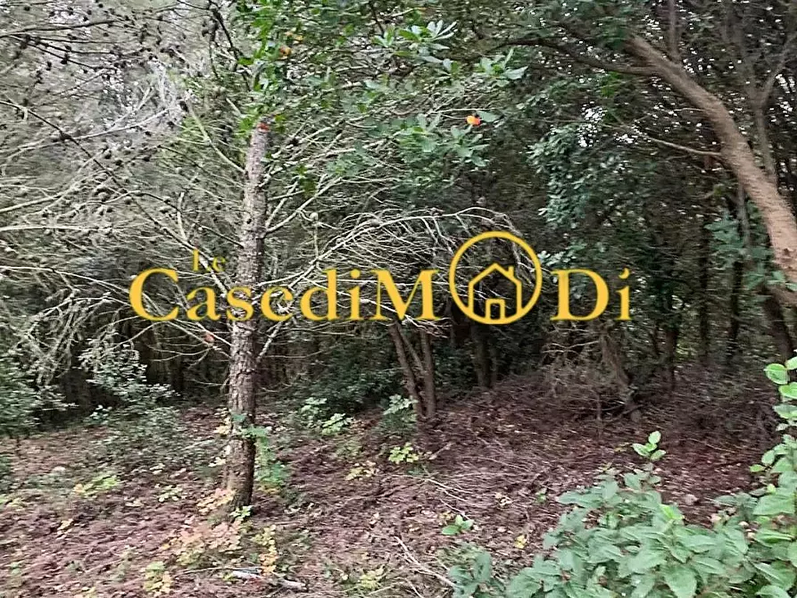 Immagine 4 di Terreno agricolo in vendita  a Livorno