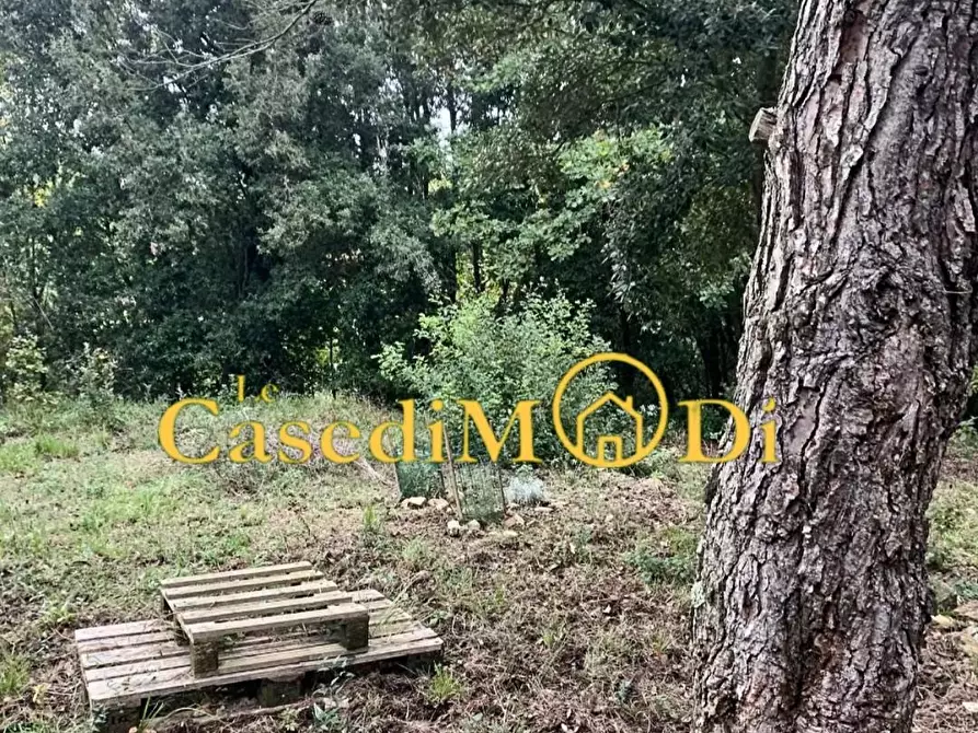 Immagine 1 di Terreno agricolo in vendita  a Livorno