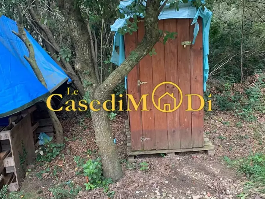 Immagine 7 di Terreno agricolo in vendita  a Livorno