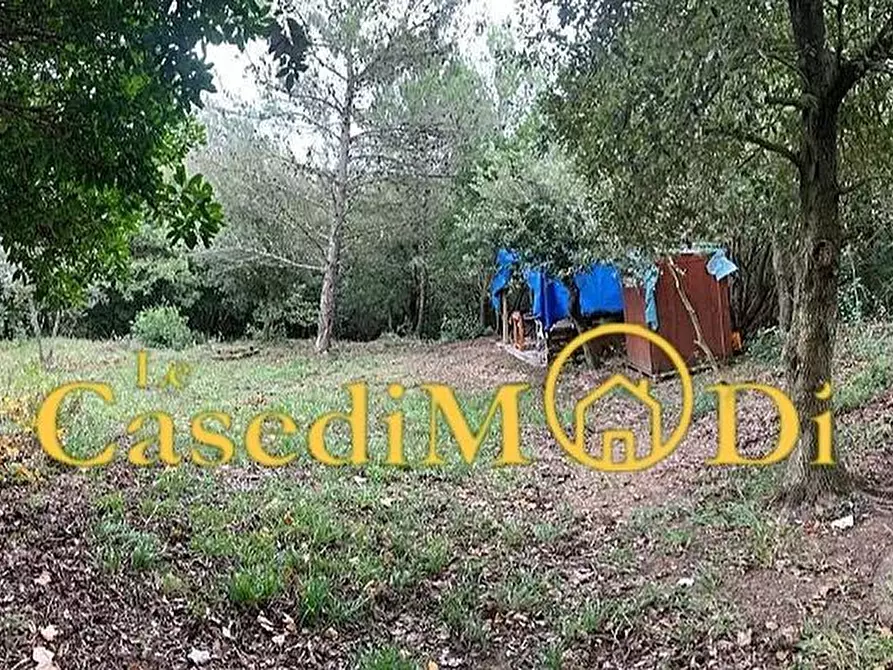 Immagine 6 di Terreno agricolo in vendita  a Livorno