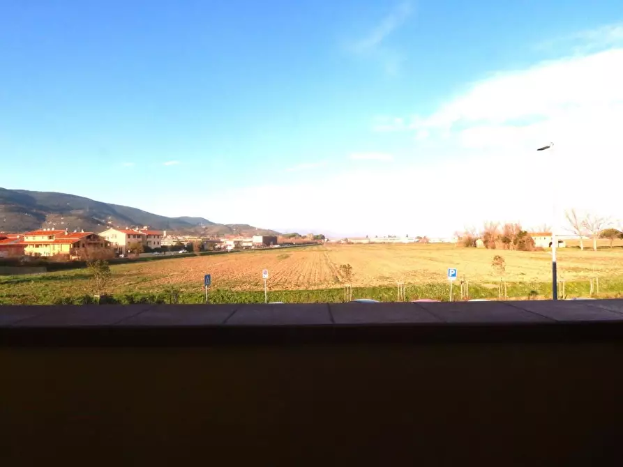 Immagine 32 di Appartamento in vendita  a Bientina